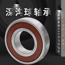 NSK imported bearing 6300 6301 6302 6303 6304 6305 6306DDU ZZ Z RS
