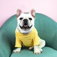 Желтая толстовка