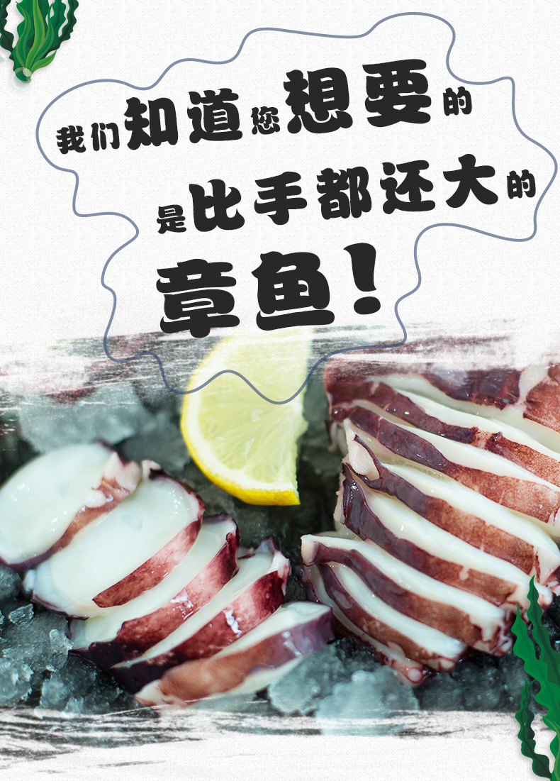 鲸御鲜 鲜活超大章鱼足 1000g 约4根 图3
