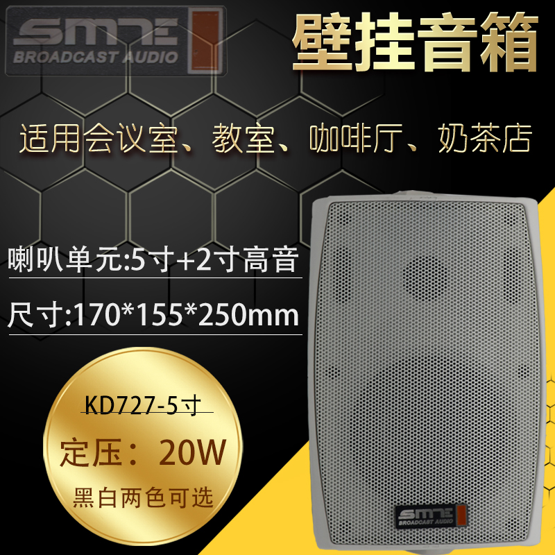 Senmart SMT wall hanging ball speaker classroom supermarket shop background music constant pressure wall speaker audio