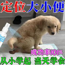 Dog toilet fixed-point defecation inducer dog urination and defecation fixed-point poop and pee dog training toilet inducer