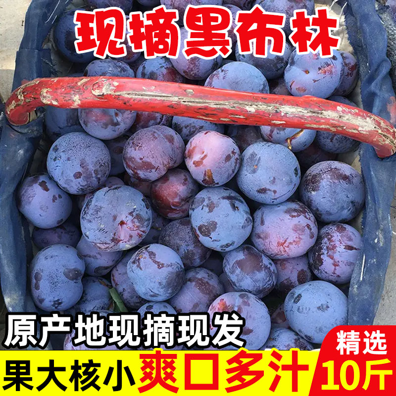 Heibulin Fresh Crispy Plum Seasonal Black Gem Sweet and Sour Fruit Dinosaur Eggs for Pregnant Women 5 Catties Two Pieces 10 Catties