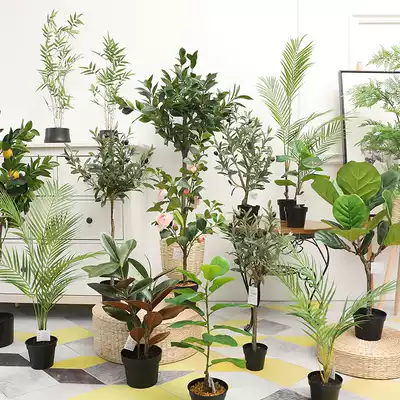 Taihuan Nordic simulation plant potted desktop small ornaments Scattered tail Kwai Qin Ye Banyan home B & B office decoration