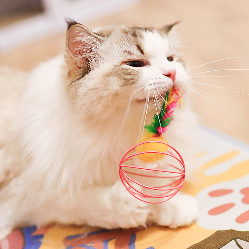 Random shipping in cat toy cage of rat in multiple colors can not be shot