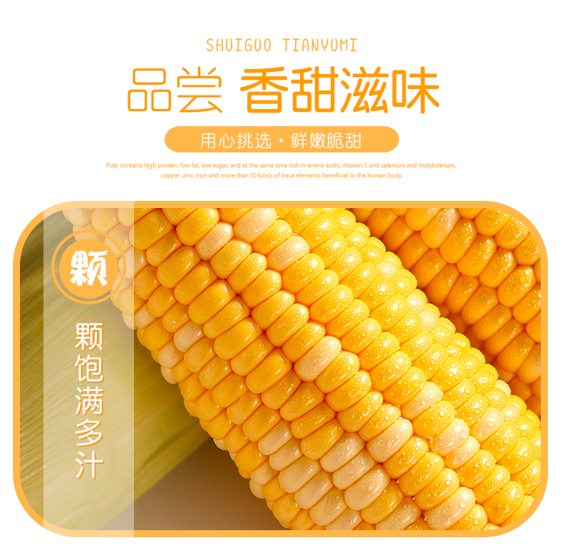 【果园直供】水果甜玉米10斤