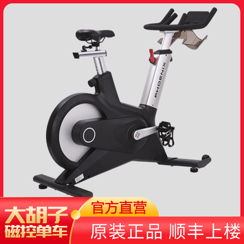 Bearded PHOENIX Commercial Home Magnetic Control Fitness Car Silent Fitness Car With Oxygen Weight Loss Fitness Equipment