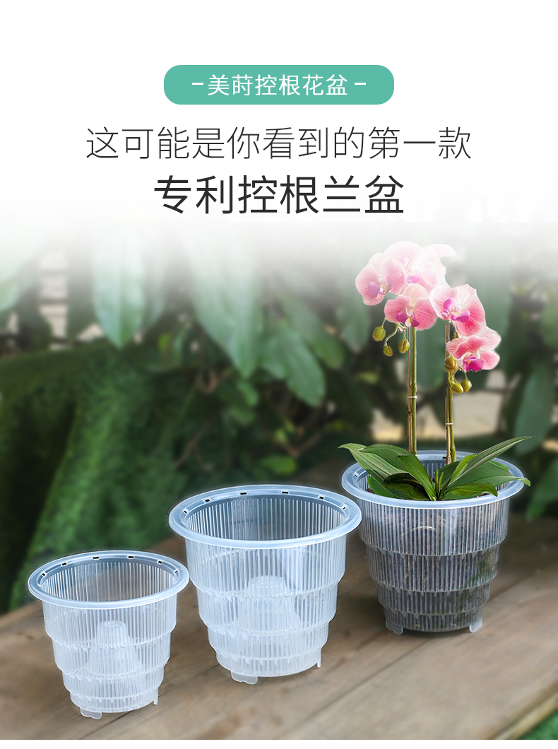 透明蝴蝶蘭控根花盆透氣洋蘭專用盆大號塑料樹脂家用石斛花盆 露天拍賣 透明蝴蝶蘭控根花盆透氣洋蘭專用盆大號塑料樹脂家用石斛花盆 露天拍賣