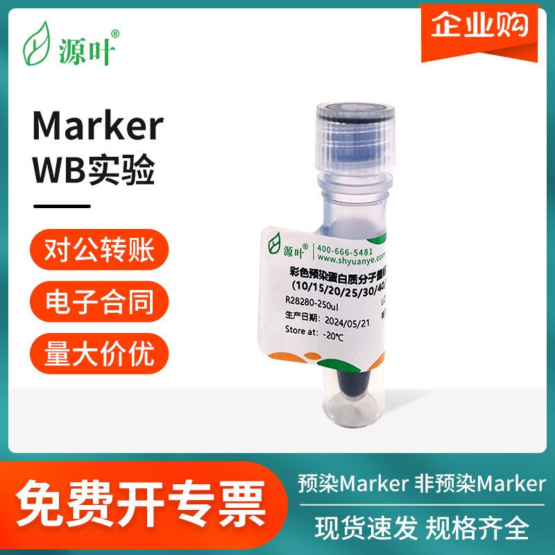 源叶试剂彩色预染/非预染蛋白质分子量标准Marker WB实验