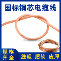 National standard pure copper core cable 16 35 25 square high voltage ground wire soft copper wire transparent spot welding machine welding handle wire
