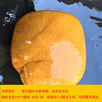 13*13 см. Случайная высота волос, чтобы оставить сообщение