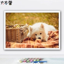  Cute pet Samoyed series diy digital oil painting Hand-painted decorative painting Digital oil painting creative gift