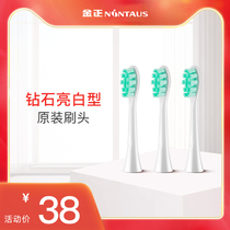 Electric toothbrush X5 series gingival type universal toothbrush head