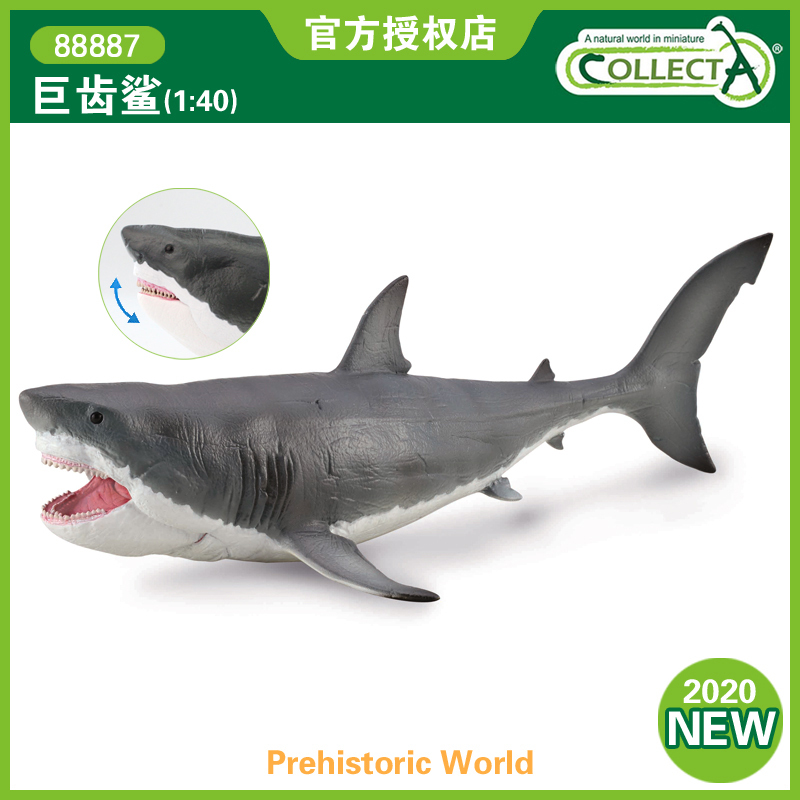 British Collecta Prehistoric Marine Shark Model Toy 88887 Megalodon 2020 New Model