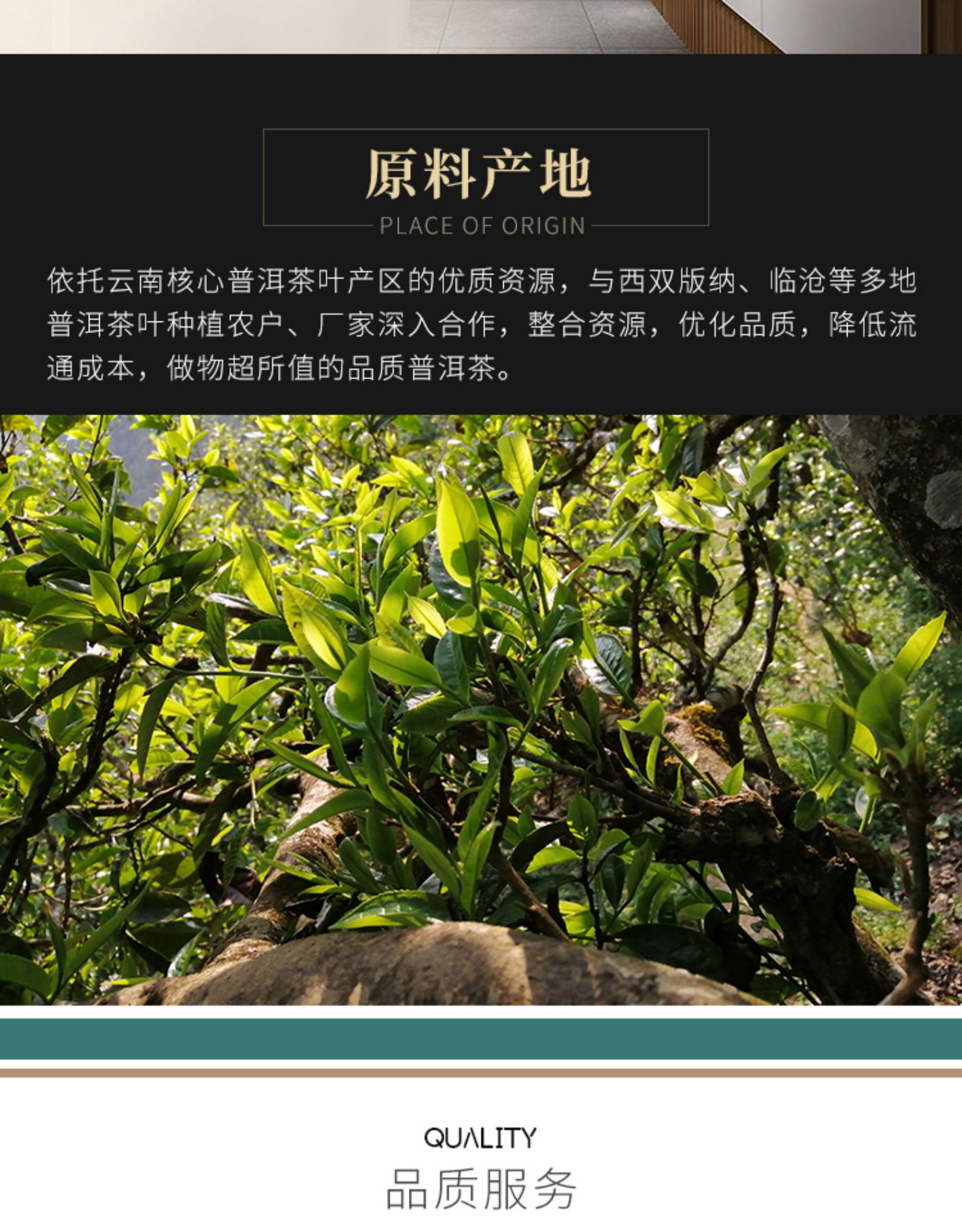 希必奇 11年陈糯香碎银子 布朗山古树熟茶 普洱茶 500g 图15
