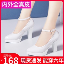 Qipao Show Training Special Ttai Performance High Heel Shoes Coarse Heel Waterproof Bench White Genuine Leather Model Walking Show Single Shoe Woman