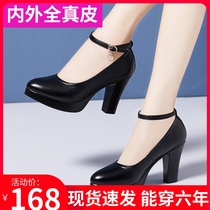 Genuine Leather High Heel Waterproof Desk Qipao Model Single Shoe Coarse Heel Soft Bull Leather Big Code Career Working Shoes Walking Show Shoes Women Shoes