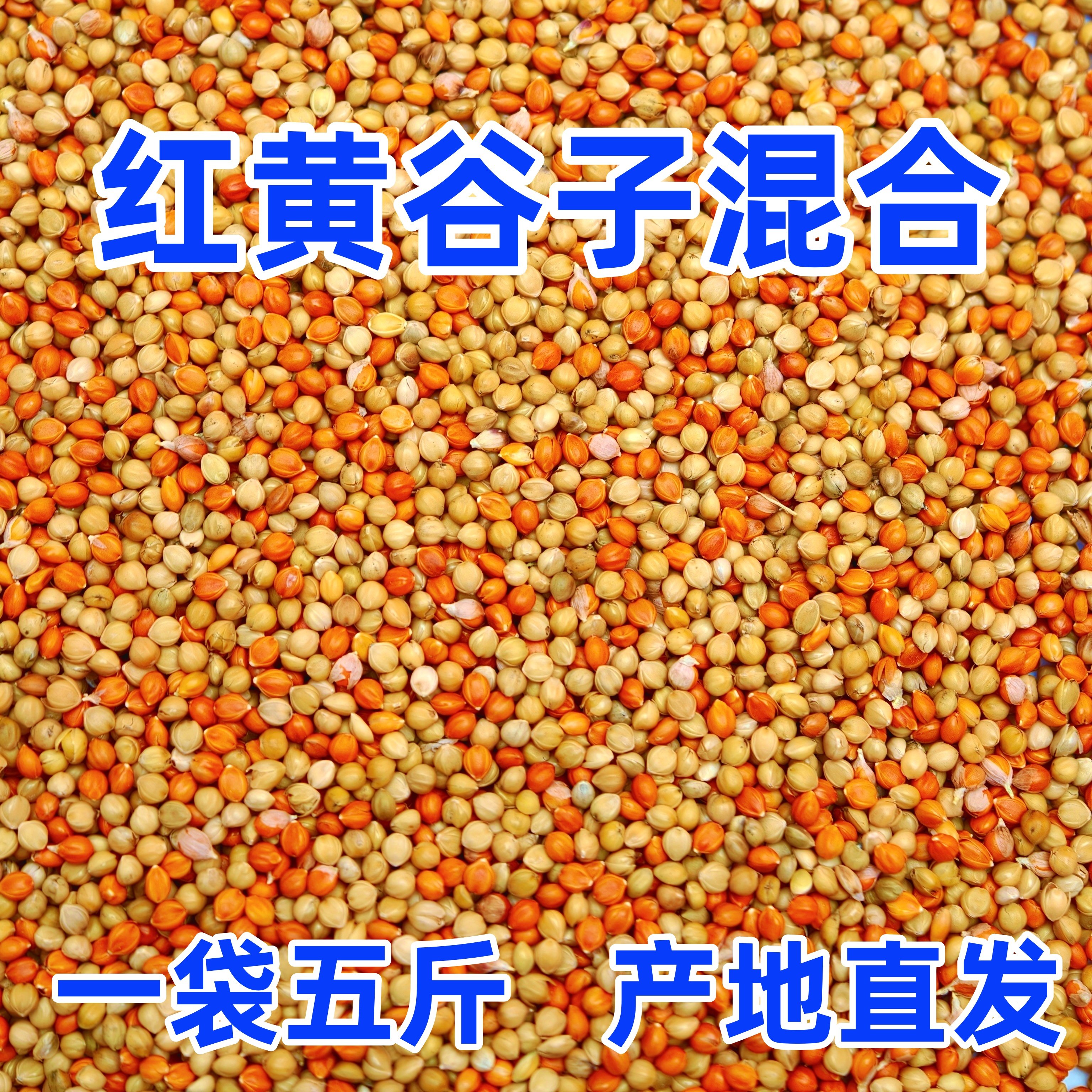 【赤と黄色のキビのミックス飼料】殻付きキビ、黄色のキビ、赤キビ、牡丹、オカメインコ、タイガースキンバードフード