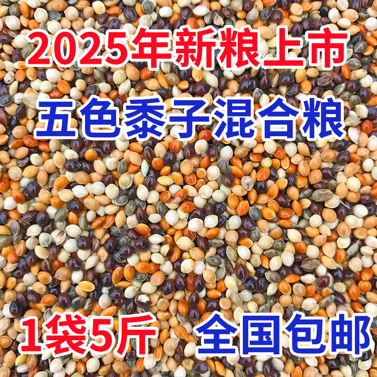 5 pounds of mixed grain of five colored millet, packed with tiger skin, peony, jade bird, pearl bird, parrot special grain, bird food grain