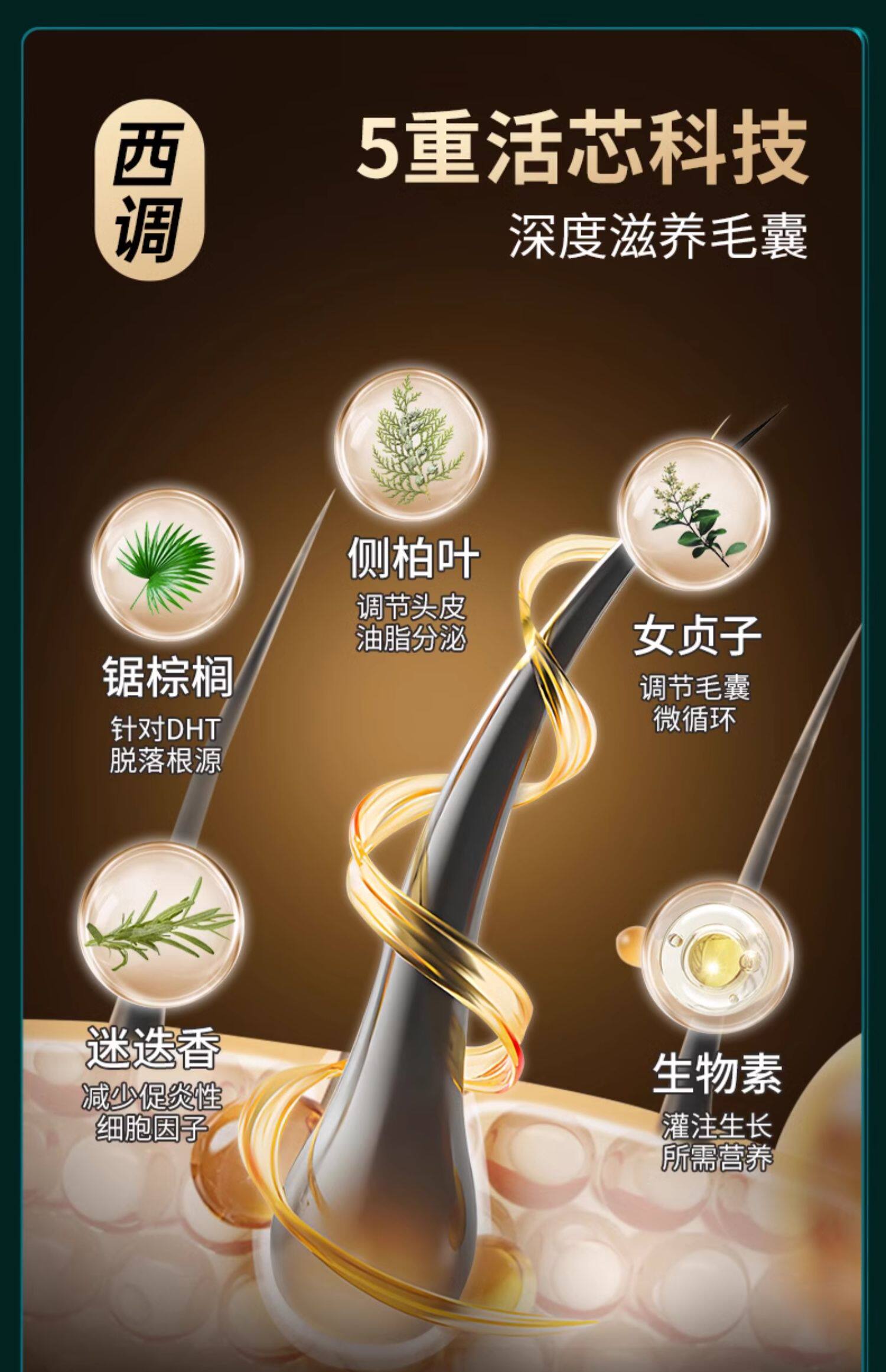 【中国直邮】 莱特维健 乌参养发宝 养血乌参宝制何首乌乌丝中西结合胶囊 90粒/瓶