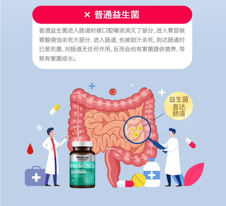 莱特维健调理肠胃成人益生菌粉胶囊60粒