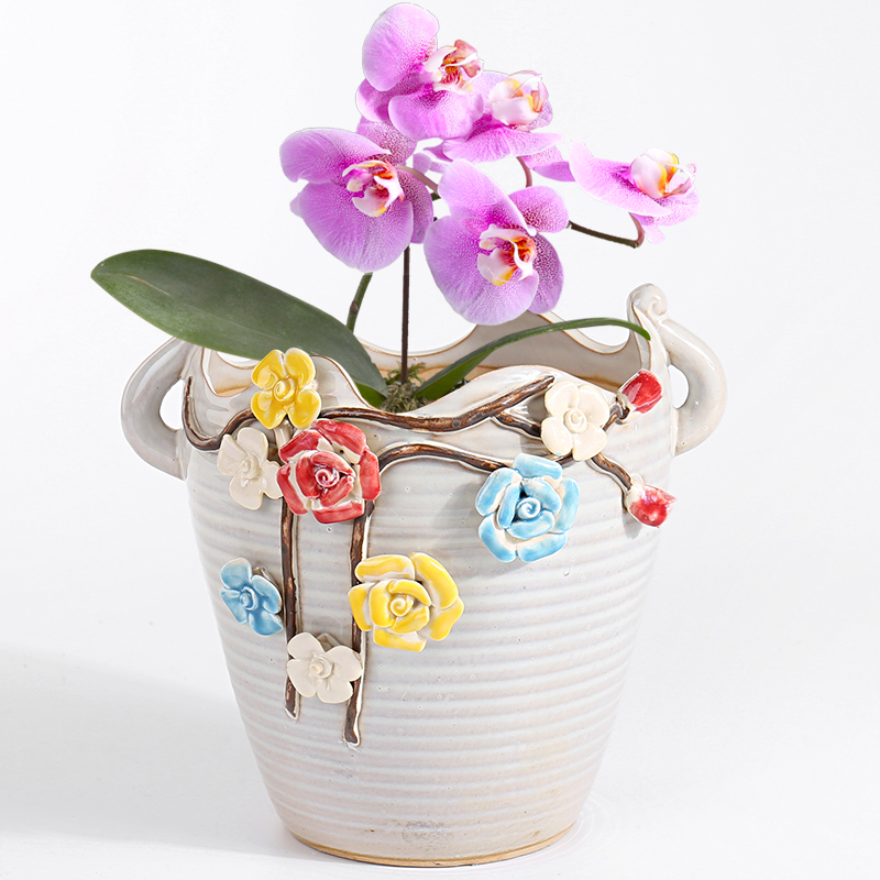 Large extra Large diameter running the high cliffs rose mint mage orchid flesh POTS ceramic old basin