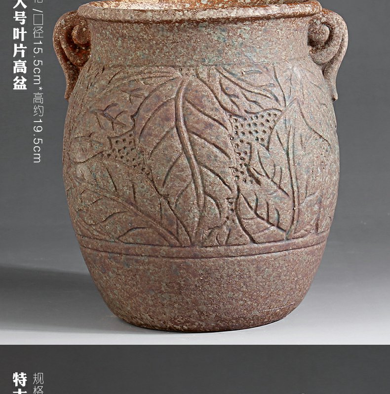 Large super - Large diameter money plant jasmine by high mage much flesh POTS ceramic basin of the old running in the office