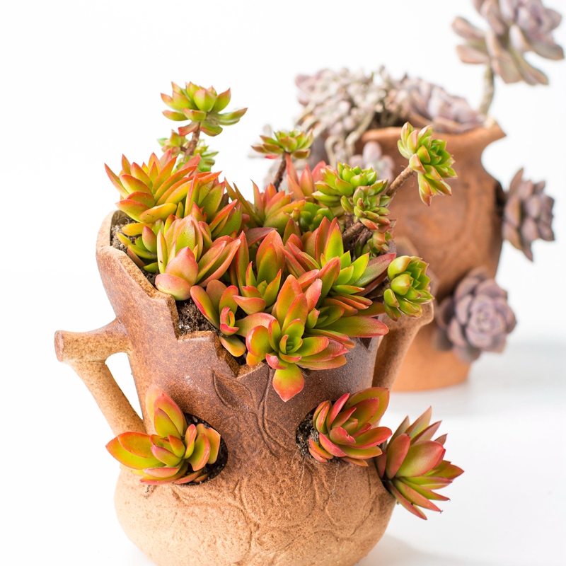 Large caliber high cliff old running of green, the plants flower pot black mage, fleshy gap zhuang zi ceramic landscape of the plants