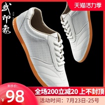Wu impression Tai Chi shoes womens summer breathable martial arts shoes Taijiquan shoes Mens sports shoes beef tendon bottom training shoes