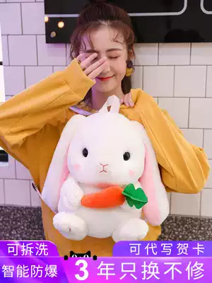 Electric hand warmer treasure female charging hand warmer baby cute plush explosion proof warm water bag student removable washable handbag