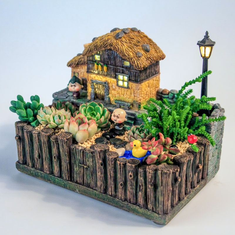 Multi Meat Plant Combined Potted Meat Flower Pot Fields Garden Microscape Basin Instrumental Small Green Plant Creative Decorative Retro Swing Piece