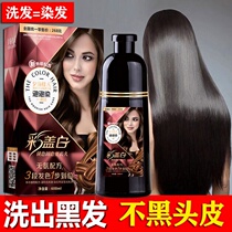 On the New Years Eve Dye Hair A Color Cover White Hair Bubble Dyeing One Wash Color Hair Cream Plant One Wash Black