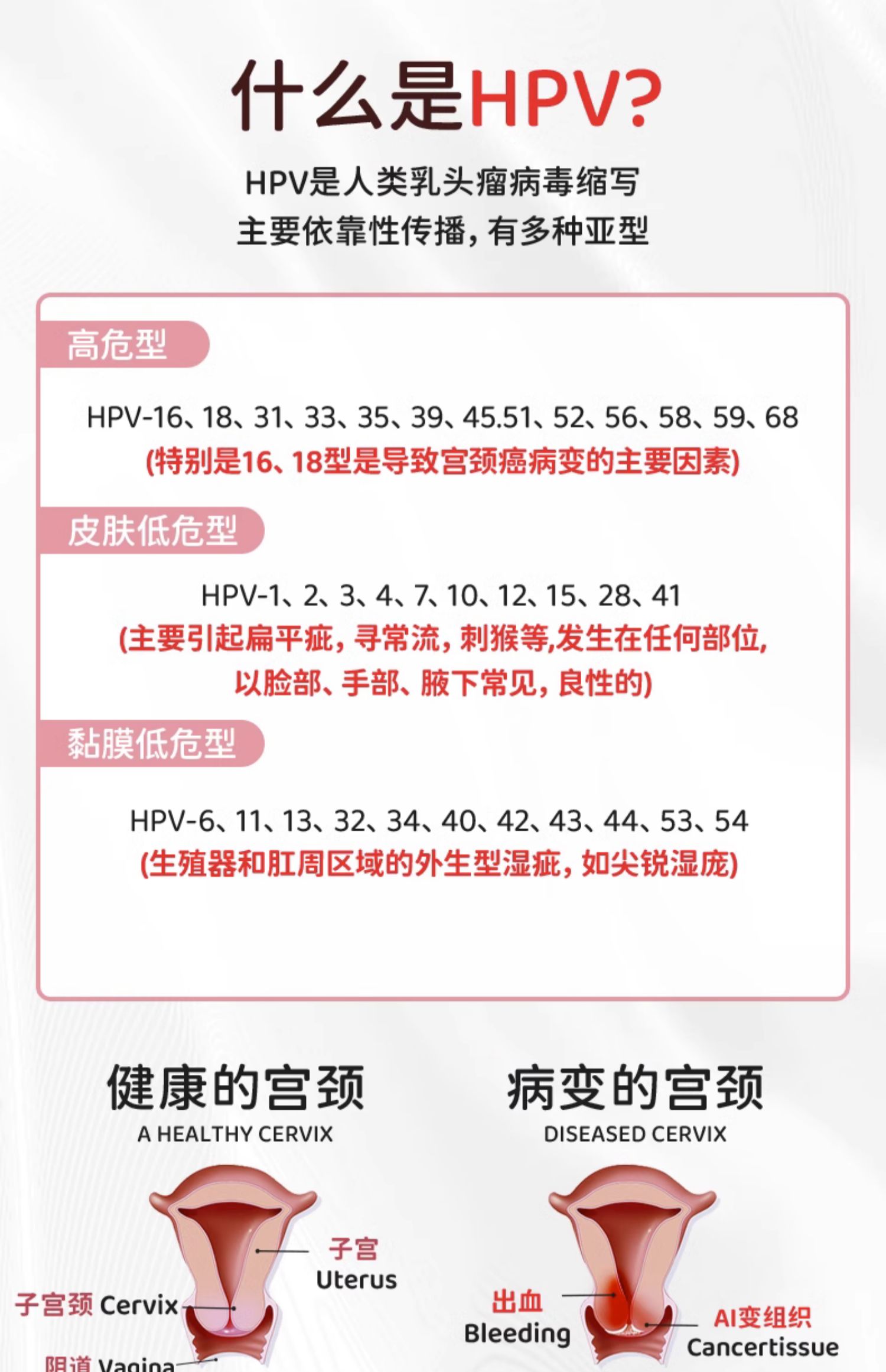 【中国直邮】北京同仁堂医用抗HPV凝胶敷料降低hpv病毒载量非干扰素凝胶3g/支*3支/盒