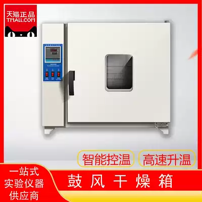 Electric constant temperature blast drying box oven Industrial oven Laboratory aging drying box Commercial dryer