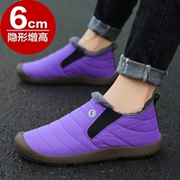 Фиолетовый (увеличение внутри)