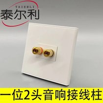Two-head audio panel 2-head speaker KTV speaker banana head audio type 86 two-position audio wall socket