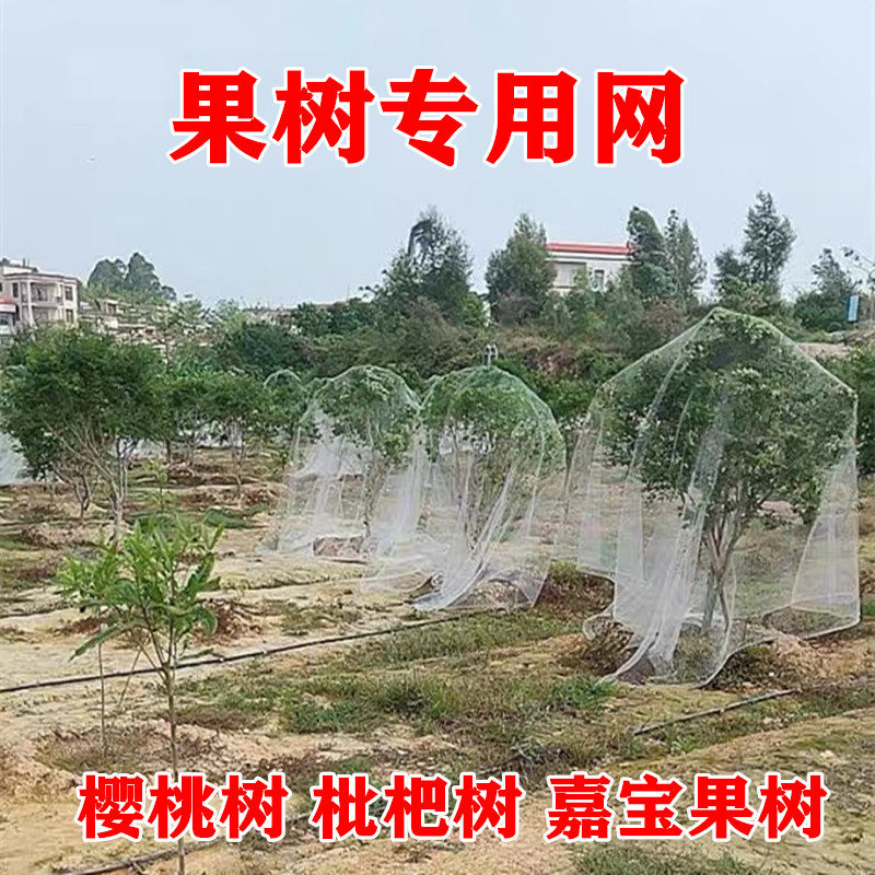 Fruit Tree Bird Prevention with nets Cherry Peach Tree Nets Jiabao Fruit Trees Bird-proof nets Home Anti-bird nets Bird Shield Fruit Trees Private-Taobao