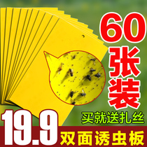 The plate of the orchard mosquito paste fly skink and beetle skink double - sided strong adhesive yellow aphid 60 sheets