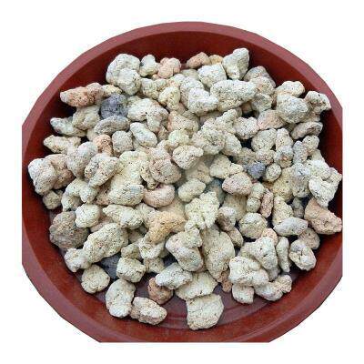 Planting gold stone clearance nutrient soil a variety of specifications planting gold stone orchid special drainage breathable small grain gardening