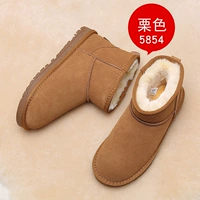 5854 Кожаный каштановый цвет