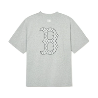 Boston Red Sox Team/Matgly Grey