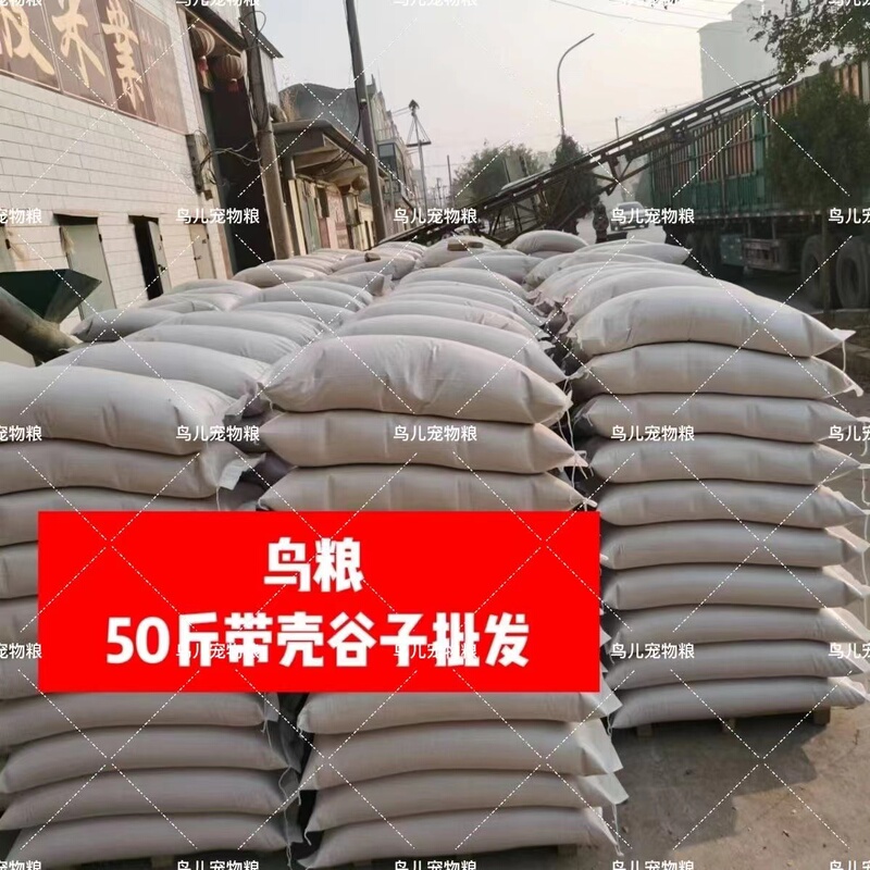 New Stock of Millet with Shells to Enhance Feather Color and Fullness, Bird Food for Parrots, Budgerigars, Cockatiels, and Finches, Wholesale with Free Shipping