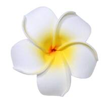 Decorative flower clubhouse decorative flower spa frangipani supplies on the beauty bed simulation flower fake flower pool tray