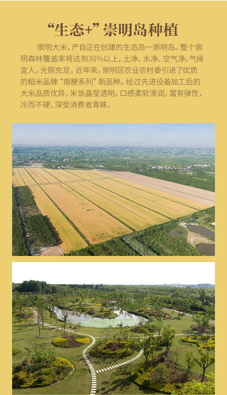 虾选 上海崇明大米 5斤 图2
