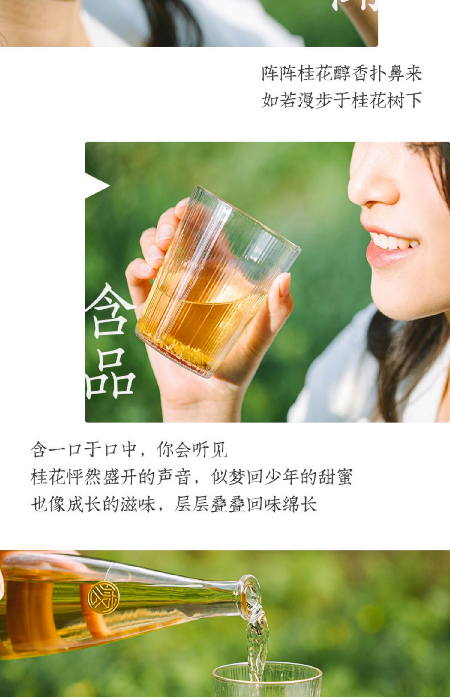 【买即送锤纹酒杯*2】时客桂花酒礼盒装