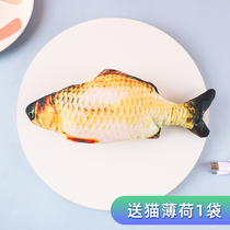 Moving catnip electric fish cat toy cat molars vent gnawing self-relief artifact automatic teasing cat