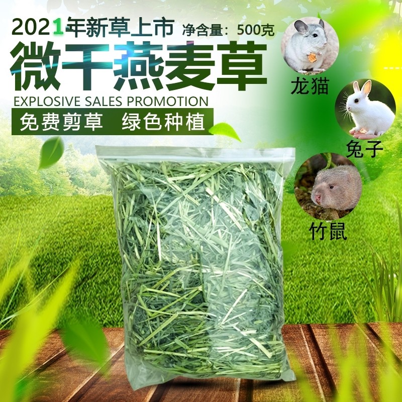 2023 New sundry domestic green oatmeal Wheat Grass Pet Grass Rabbit Dragon Cat Dutch Pig Hamster Main Food Feed Grinding-Taobao