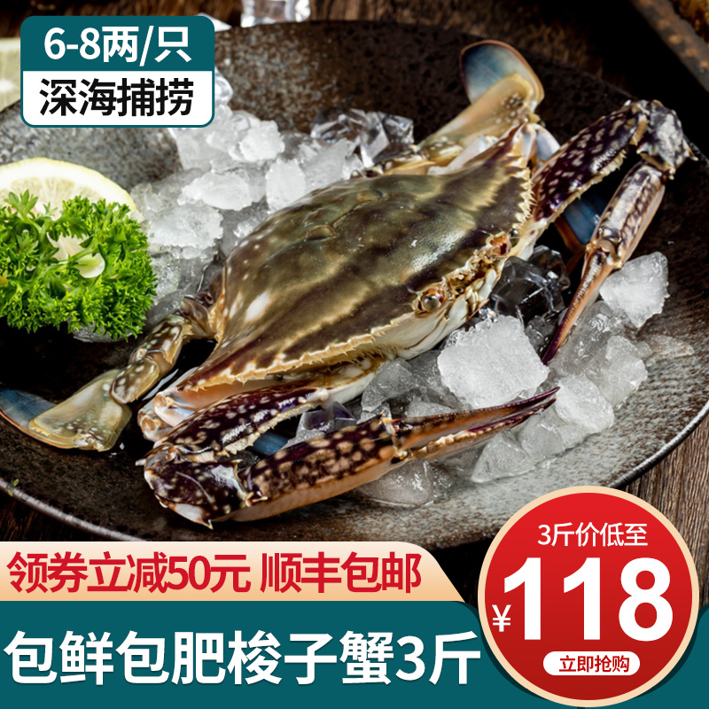 特大6 8两 液氮活冻 九号码头舟山新鲜梭子蟹3斤108元包邮 买手党 买手聚集的地方 特大6 8两 液氮活冻 九号码头舟山新鲜梭子蟹3斤108元包邮 买手党 买手聚集的地方