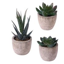 Plants Plant Decorative Succulent Posted Plastic Artificial