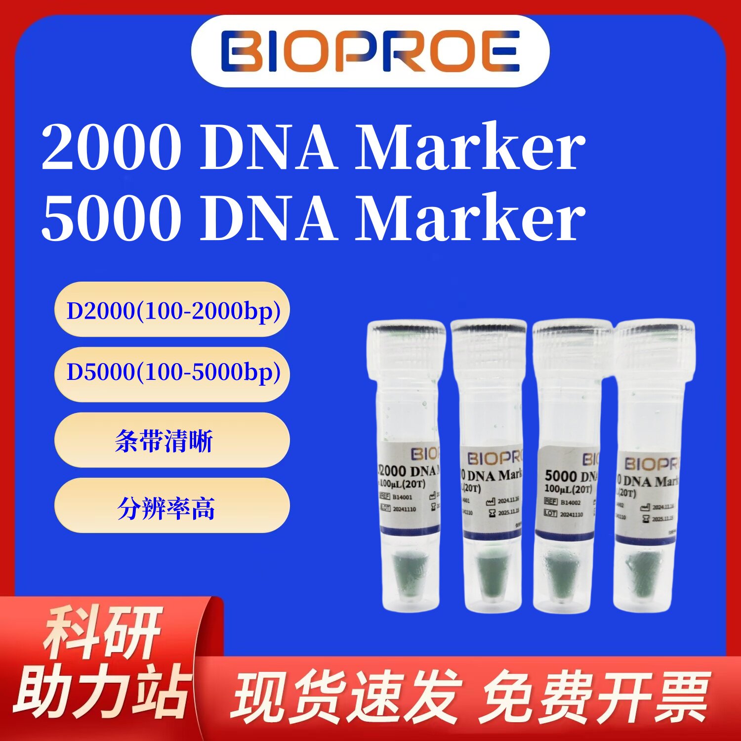 DNA分子Marker/Ladder2000/5000/15000琼脂糖凝胶电泳