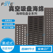 Fester Non-Standard Vacuum Suction Industrial Manufacturing Manual Class Industrial Handless Palletising Suction Backle